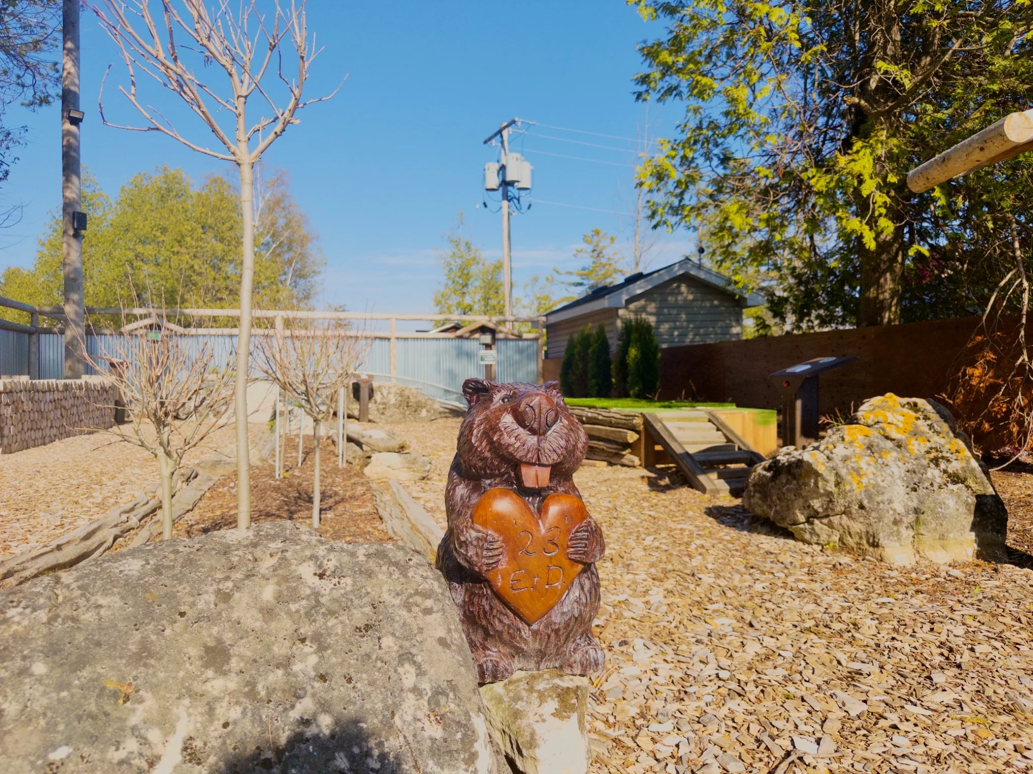Small beaver carving near Sauble Beach
